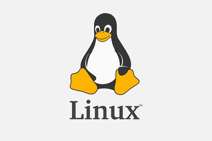 Know-The-Virus-Protection-Under-Linux