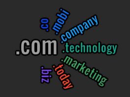 Which-Domain-Extension-Is-For-The-Company