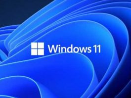 Windows-11-In-The-Mega-Test