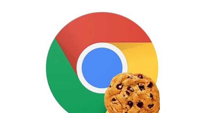 Everything-You-Need-To-Know-About-Cookies