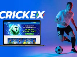 Crickex-Review