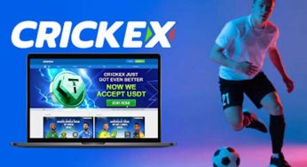 Crickex: Full Review