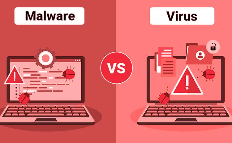 What’s Is The Difference Between A Virus And Malware